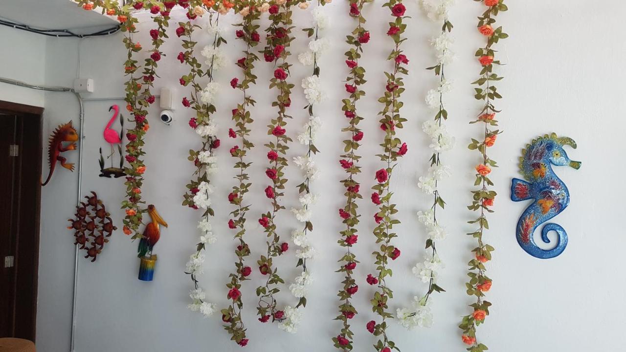 Posada Bugambilia Mazatlán Buitenkant foto